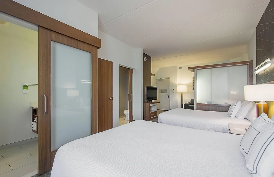 Springhill Suites Tampa North/Tampa Palms-1