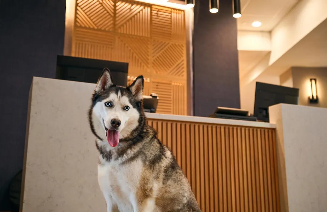 Hyatt Place Tampa Airport/Westshore-1