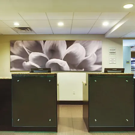 Comfort Inn & Suites Tampa North I-75-2