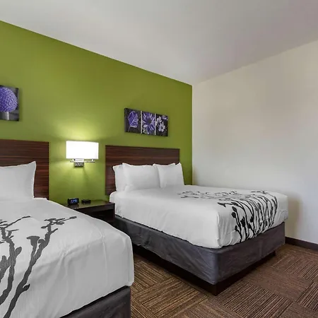 Sleep Inn & Suites Tampa South-3