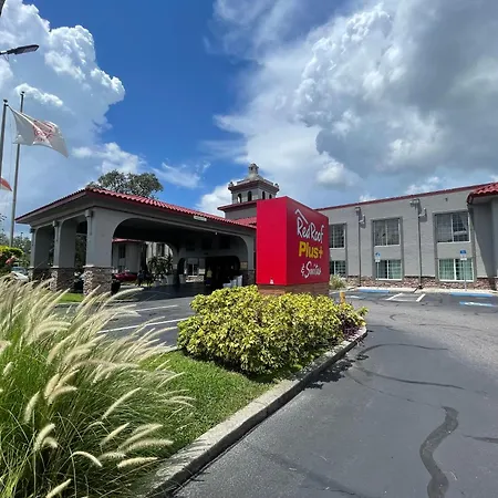 Red Roof Inn Plus & Suites Tampa - Busch Gardens-2
