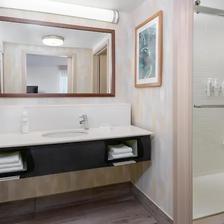 Hampton Inn & Suites Tampa Airport Avion Park Westshore-2